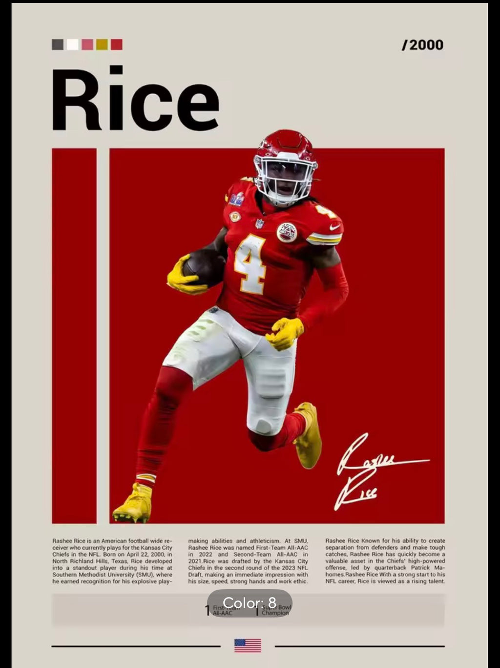 NFL Rice