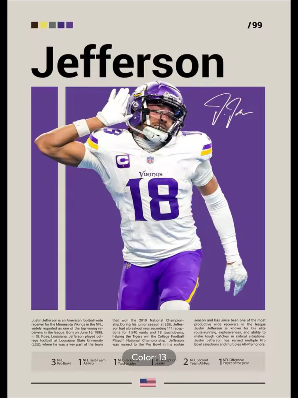 NFL Jefferson