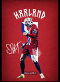 Haaland