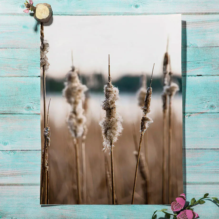 Forest, Mountain & Lake Nature Canvas Print