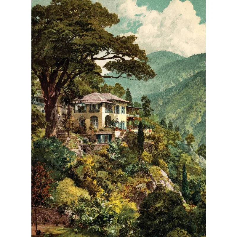 Vintage Jungle Landscape Canvas Print