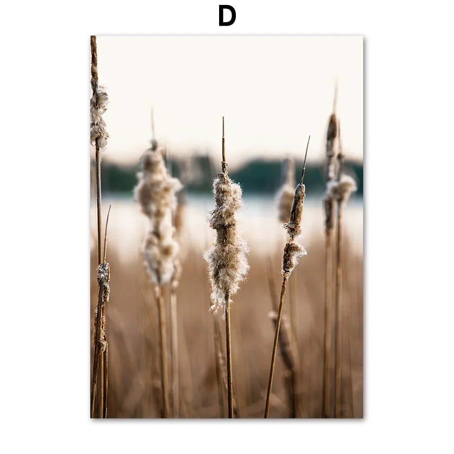 Forest, Mountain & Lake Nature Canvas Print