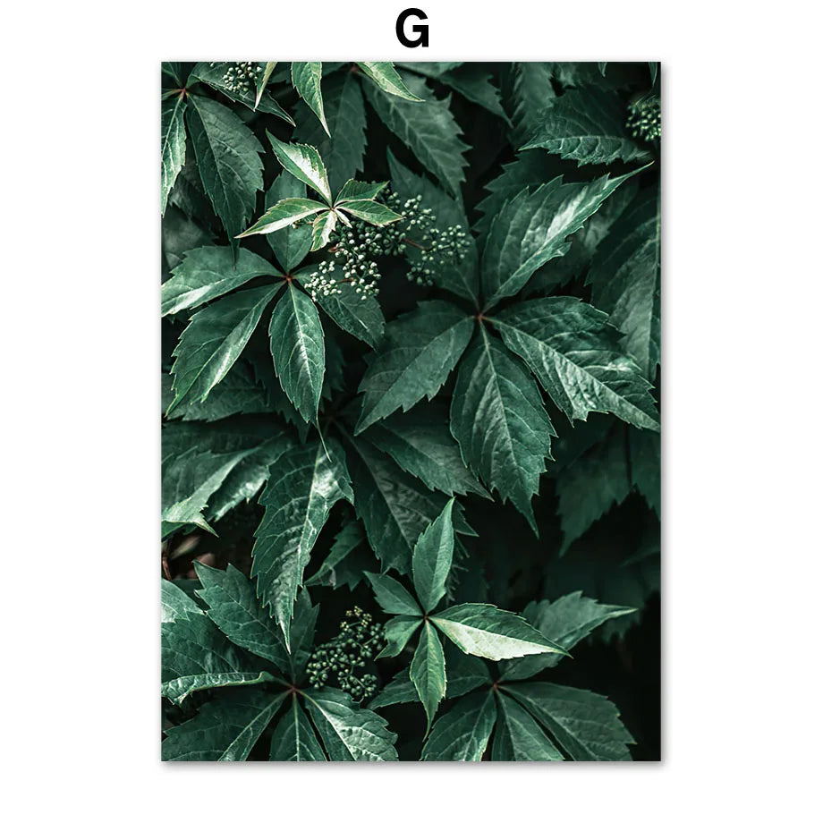 Forest, Mountain & Lake Nature Canvas Print