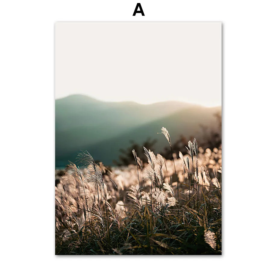 Forest, Mountain & Lake Nature Canvas Print